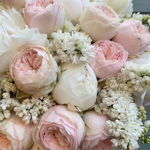 Meet your Posher, Melissa - Picture 1 of 1